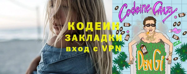 шишки Снежинск